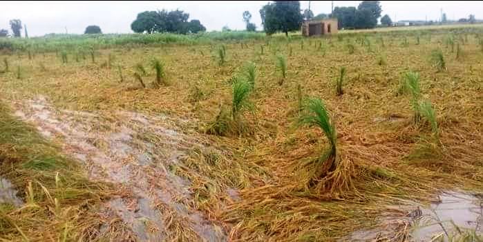 Agri Farm