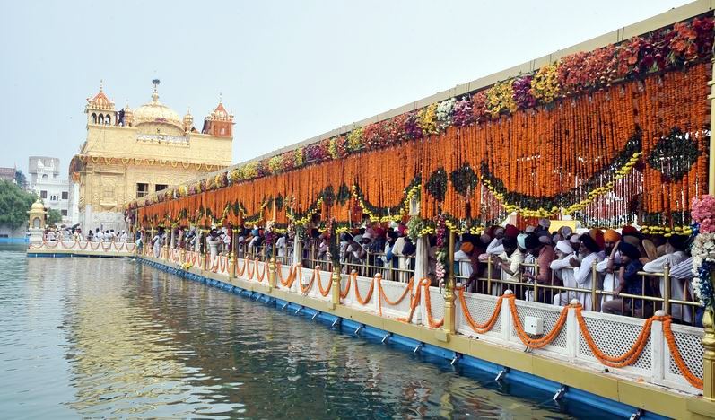 Golden temple Flowers