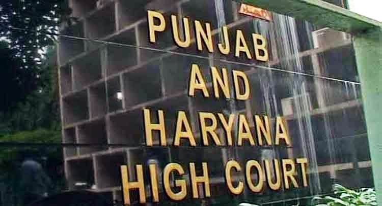 Punjab Haryana High Court