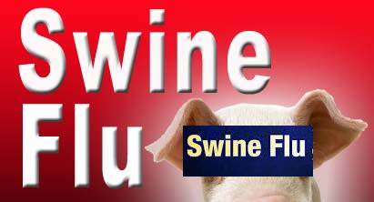 Swine Flu